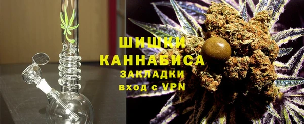 крисы Ельня